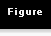 Figure Series